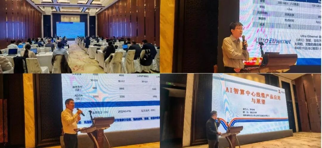 1766114954537313.jpg 1766114954537313.jpg