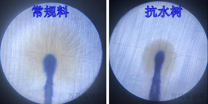 1626916897363207.jpg 1626916897363207.jpg