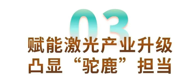 1754635650665416.png