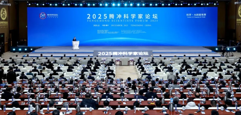 1765246460721040.png 1765246460721040.png