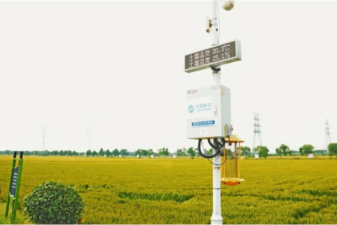 1729474758962819.png 1729474758962819.png